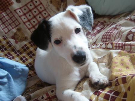 notre derniere venu de la maison